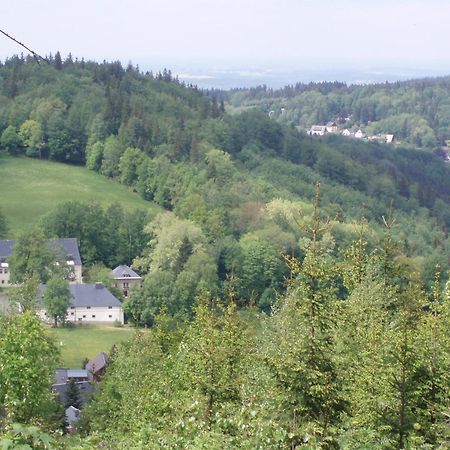 Pension Hotel Sartor Altenberg  Extérieur photo